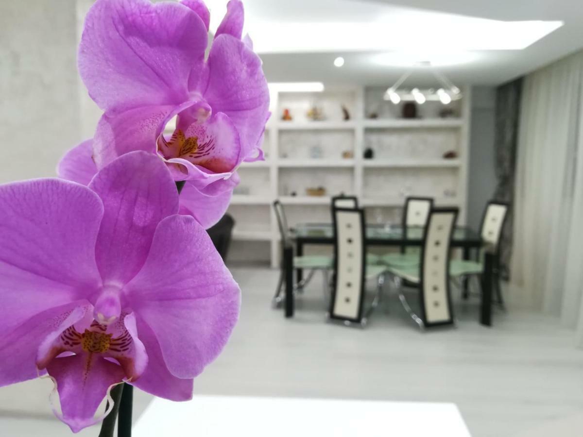 Paradise Apartament Брашов Екстер'єр фото