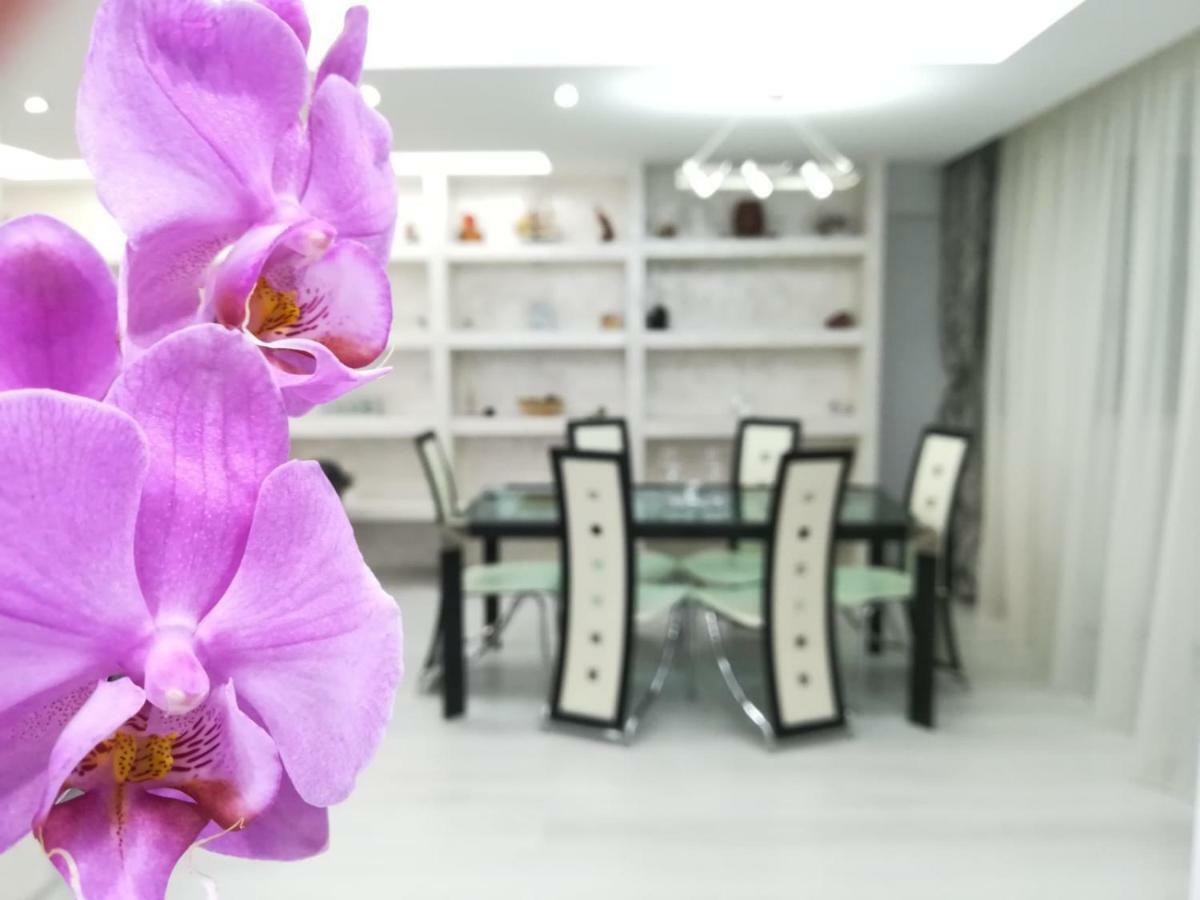 Paradise Apartament Брашов Екстер'єр фото